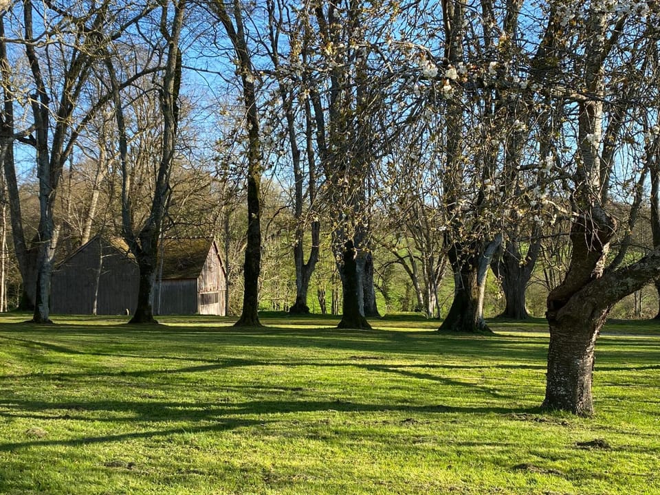 Garden view