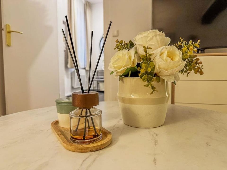 Le Studio Green - 2 people Apartment in Chartres