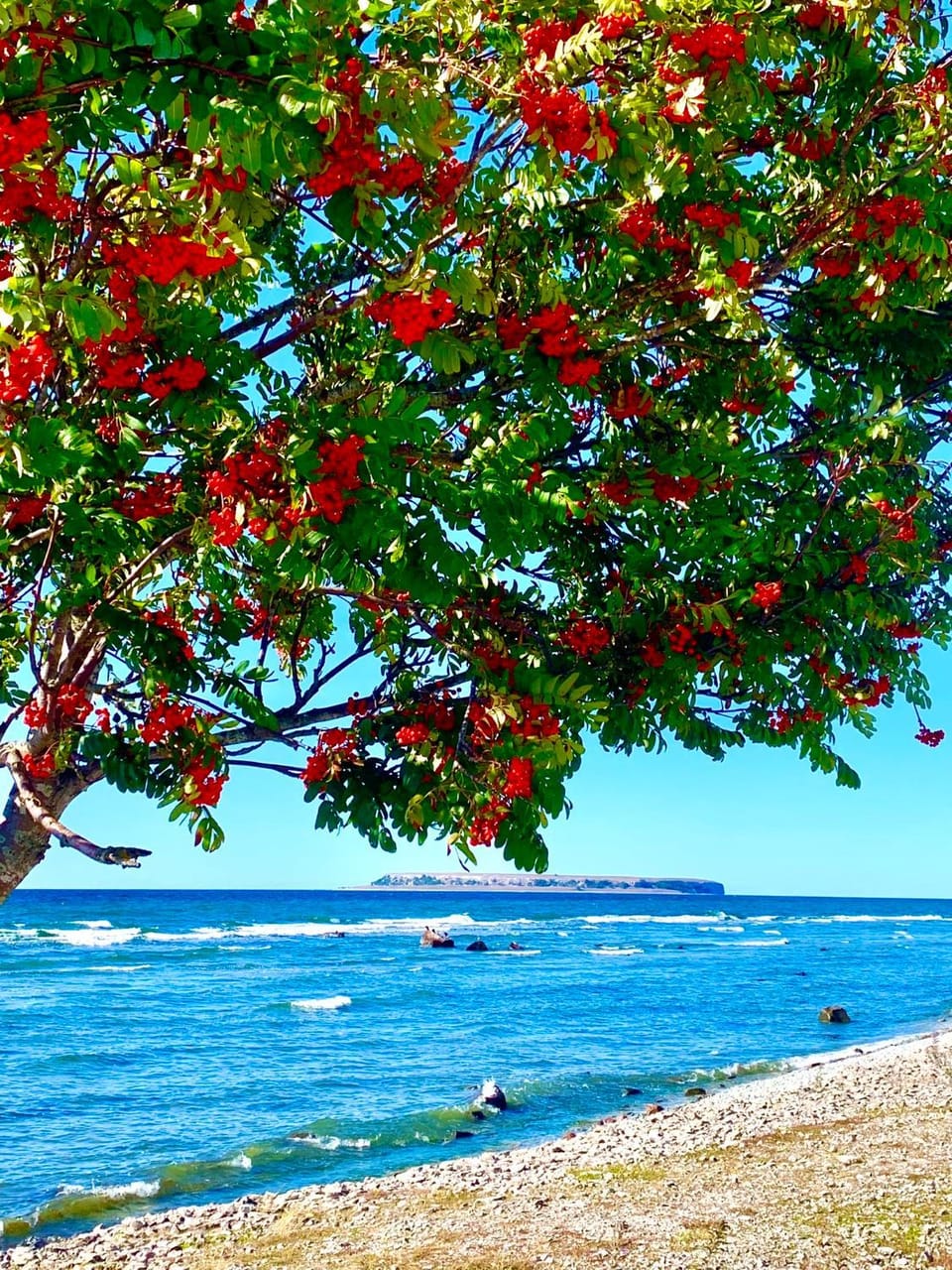 Natural landscape, Beach