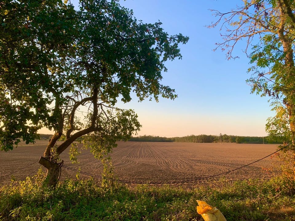 Natural landscape, Garden, Garden view