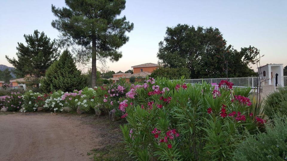 Day, Natural landscape, Garden