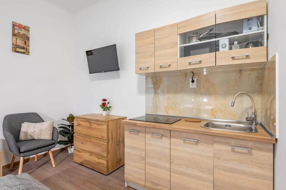 Comfy Studio in the center of the city Apartment in Budapest