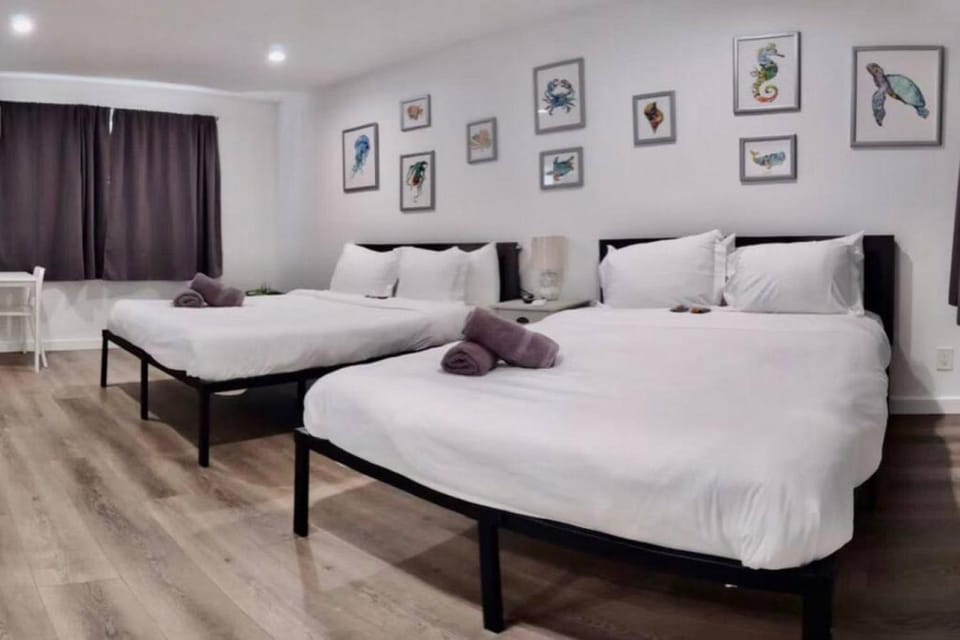 Charming DBL W pool and parking 15 min to FLL and Beach Apartment in Hollywood