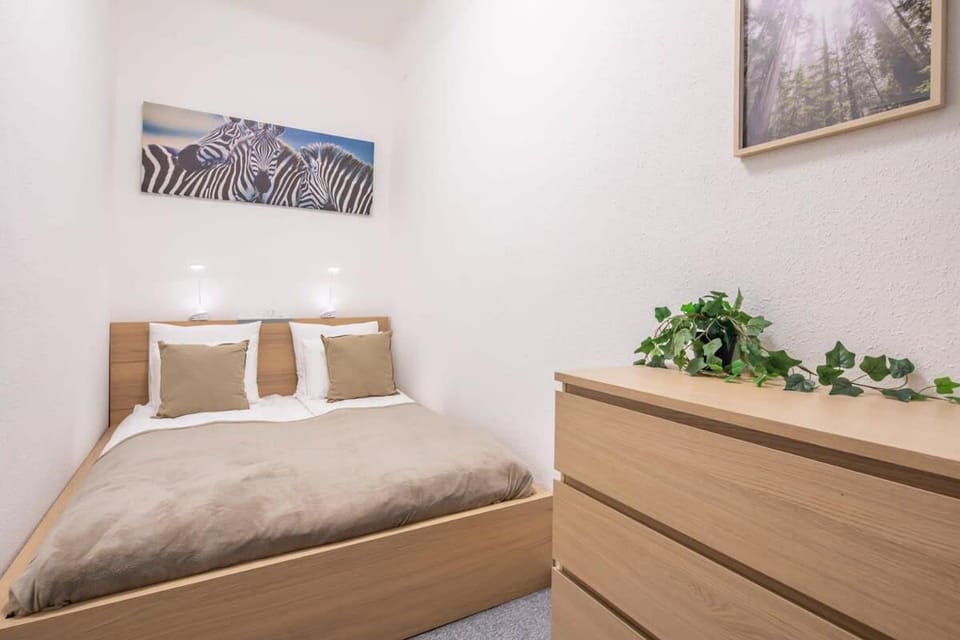 Central Large and Comfy Apartment Apartment in Budapest