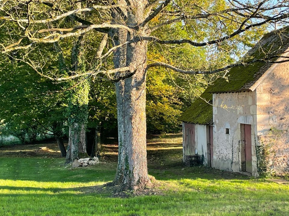 Natural landscape, Garden view