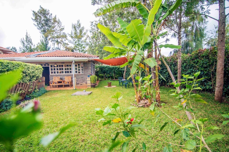 Property building, Garden, Garden view