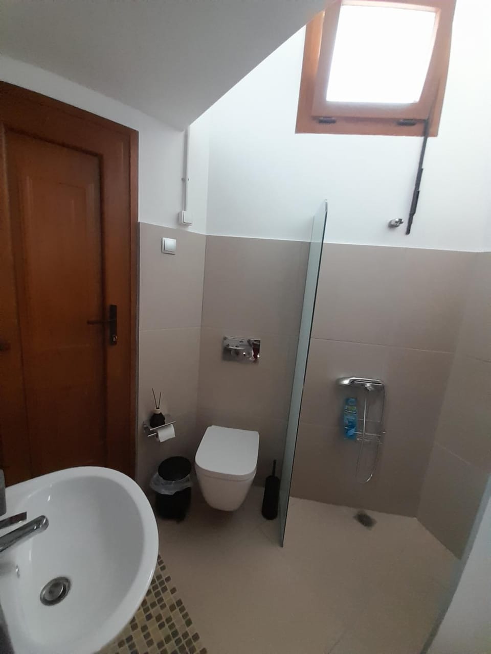 Shower, Toilet