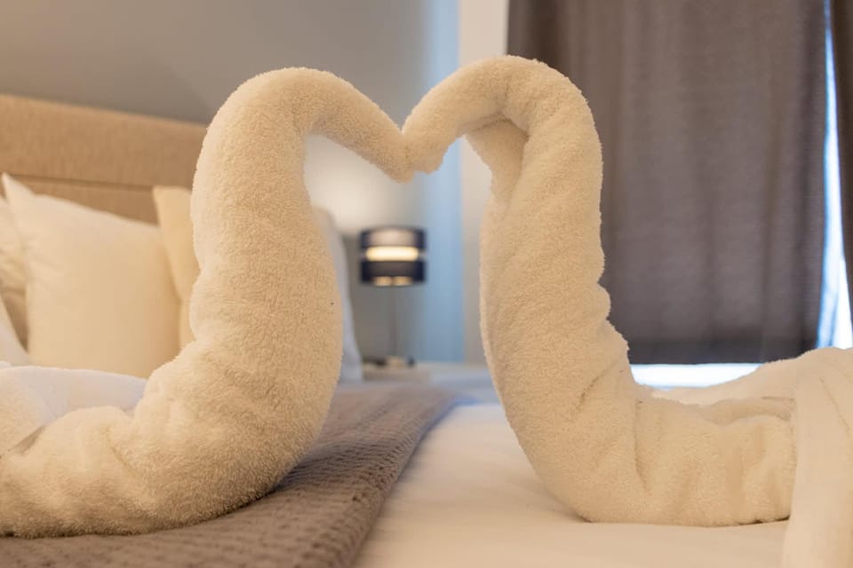 Bed, Decorative detail, Bedroom, Pets, pet friendly, towels, towels