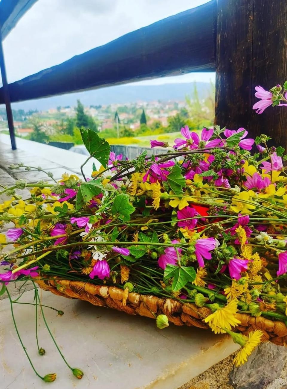 Balcony/Terrace, Balcony/Terrace, Garden view