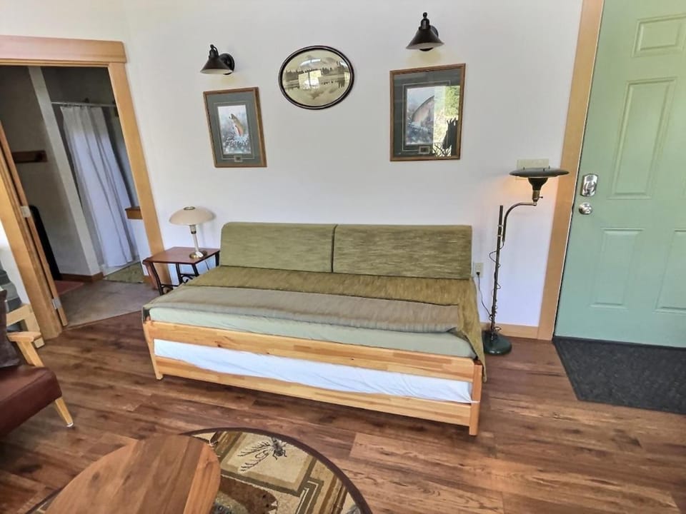 Little Big Fish | Wifi, BBQ, AC ,Rainier View House in Washington