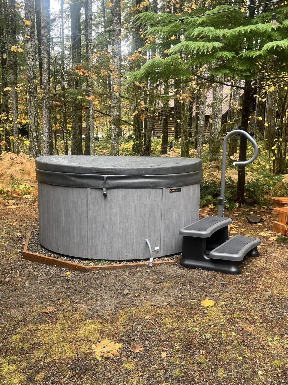Elk House | Hot tub, EV, AC House in Washington