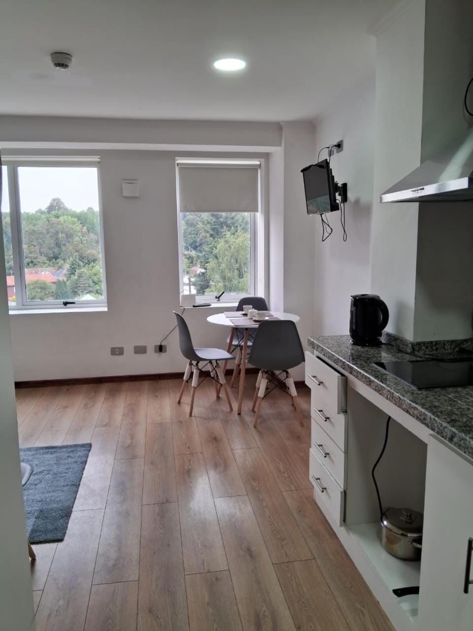 Departamento Los Carrera Centro Apartment in Osorno