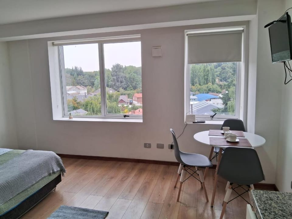 Departamento Los Carrera Centro Apartment in Osorno