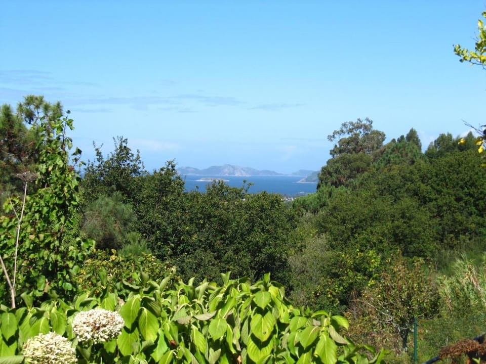 Extensive estate 10 minutes from Bayona and Beaches House in Galicia