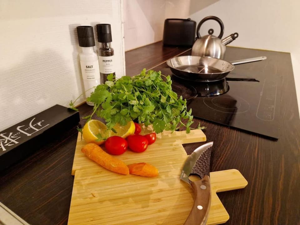 Cozy condo near Bryggen Full kitchen Elevator House in Bergen