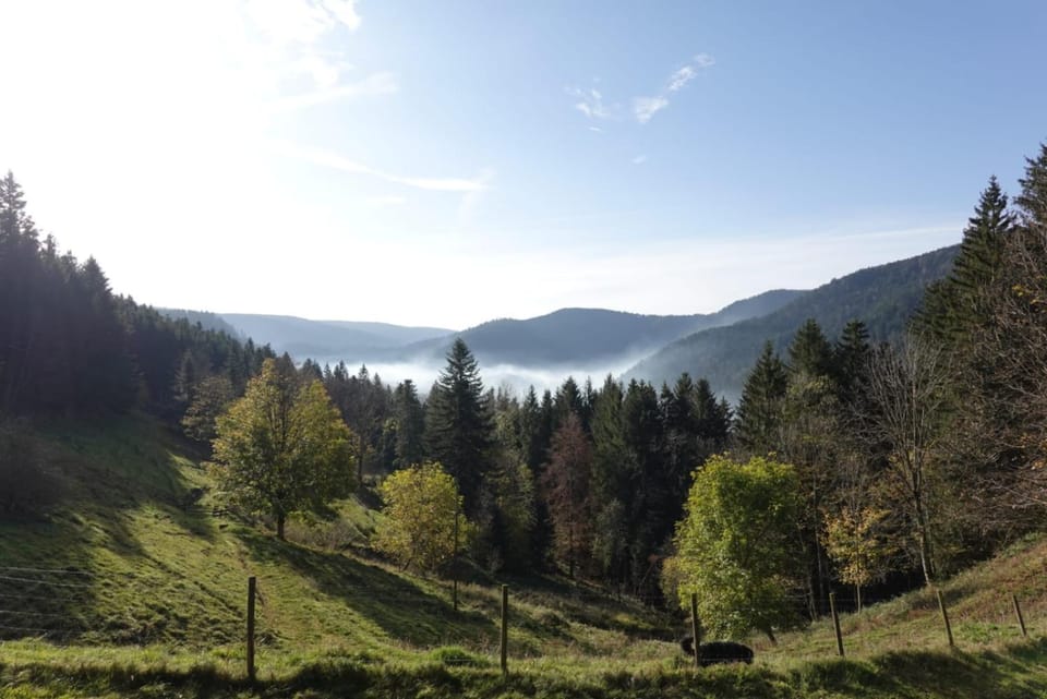Mountain view