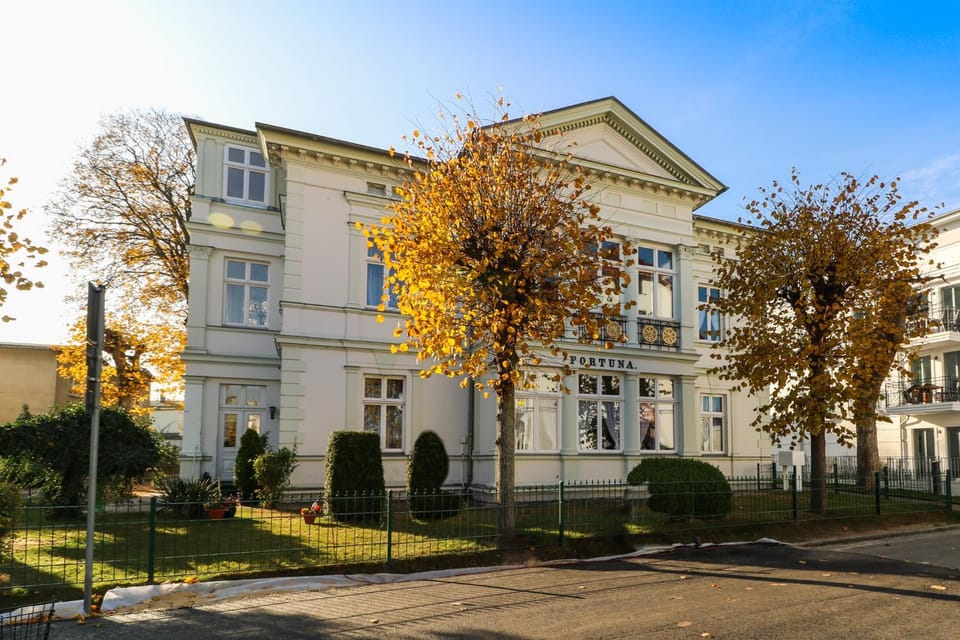 Property building, Day