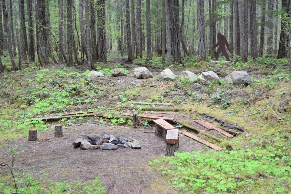 The Lodge on Shawnee Trail | Wifi, Hot tub House in Washington