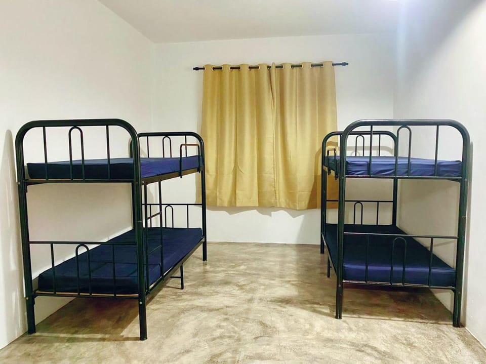 Bed, Photo of the whole room, bunk bed