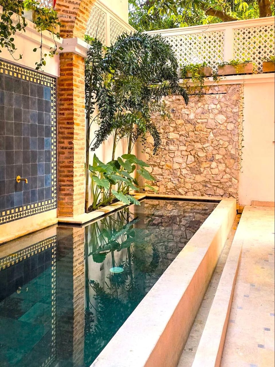 Day, Garden, Garden view, Swimming pool