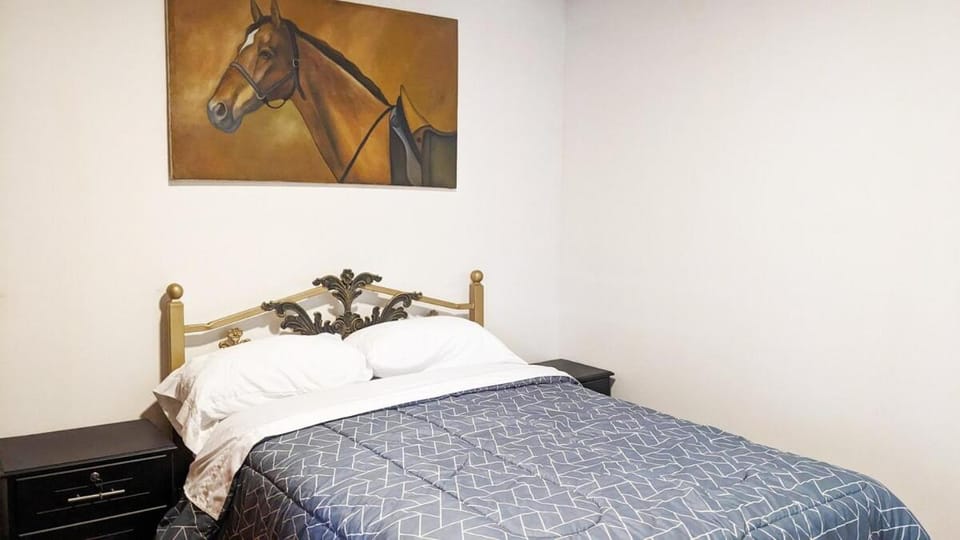 Natural Light and Total Comfort Apartment in Cuenca