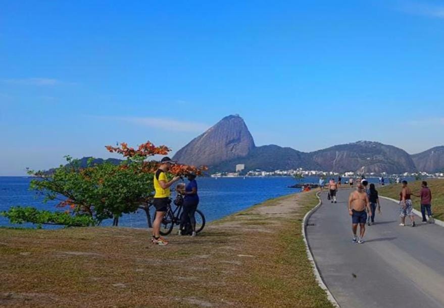 Aconchegante apartment near Flamengo Beach Apartment in Rio de Janeiro