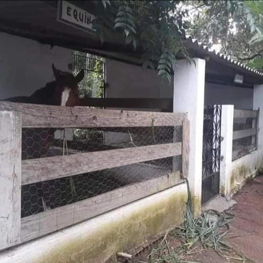 Sítio Solar Santa Cecília(Alto Padrão) House in State of Ceará