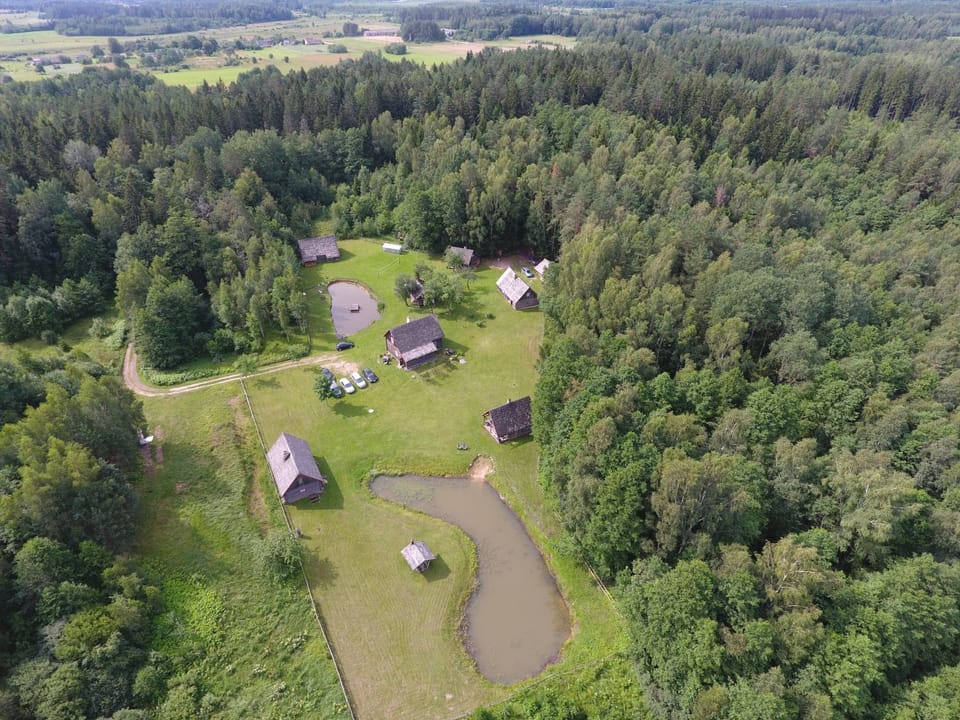 Bird's eye view, Other