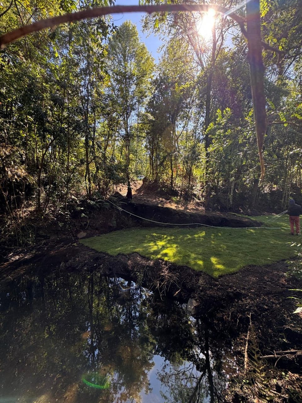 Natural landscape