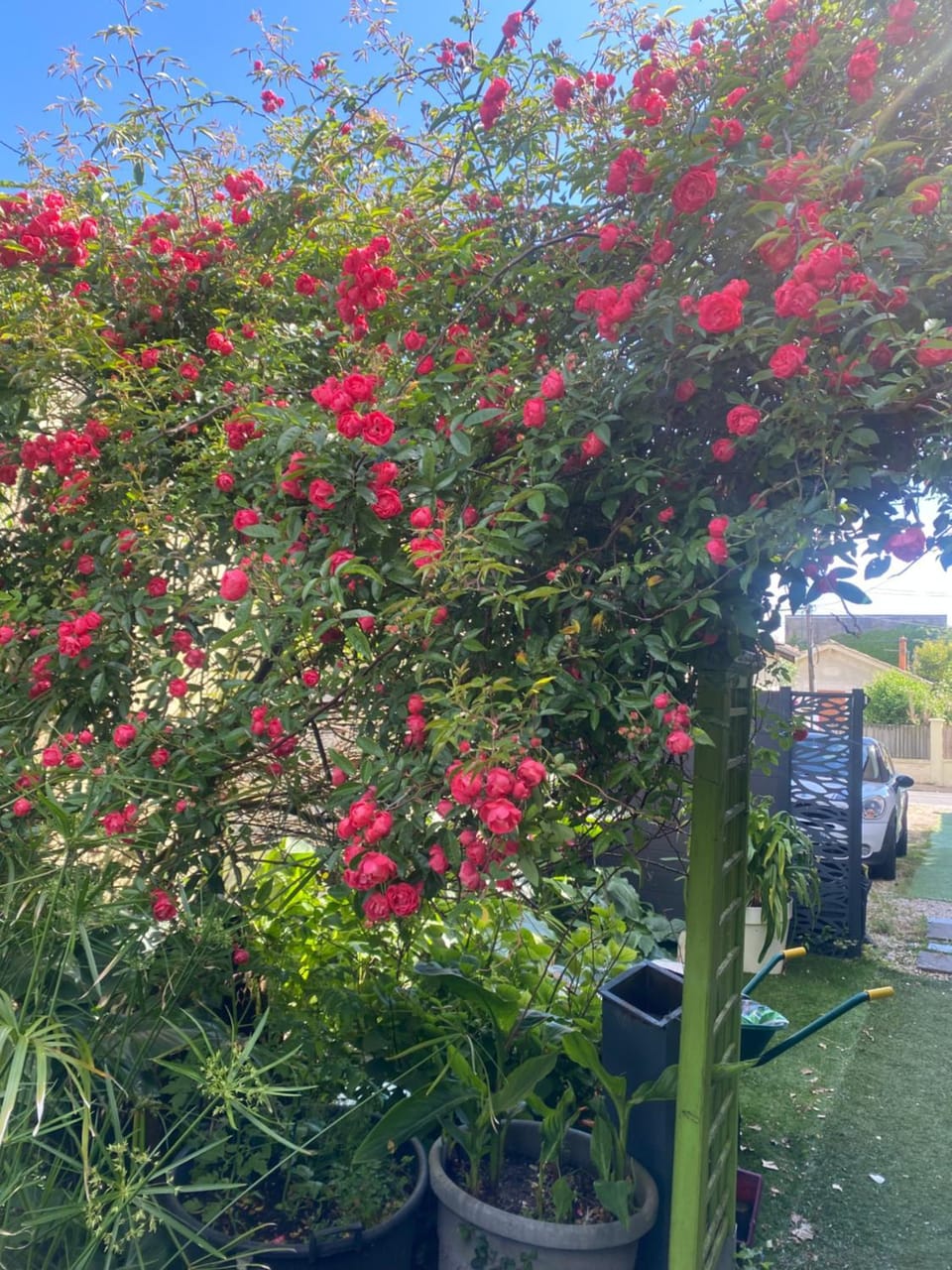 Garden, Garden view