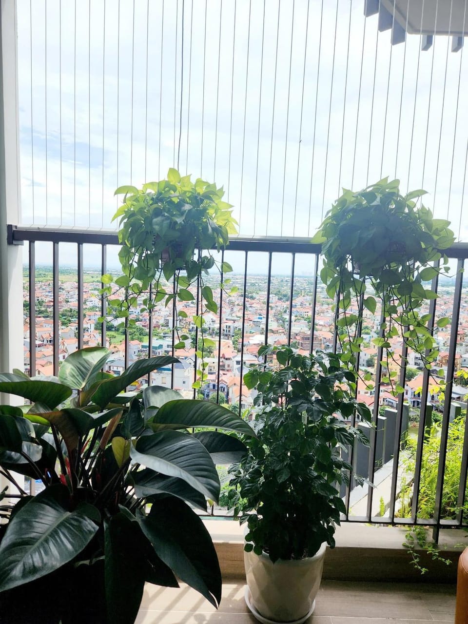 Day, View (from property/room), Balcony/Terrace, Living room