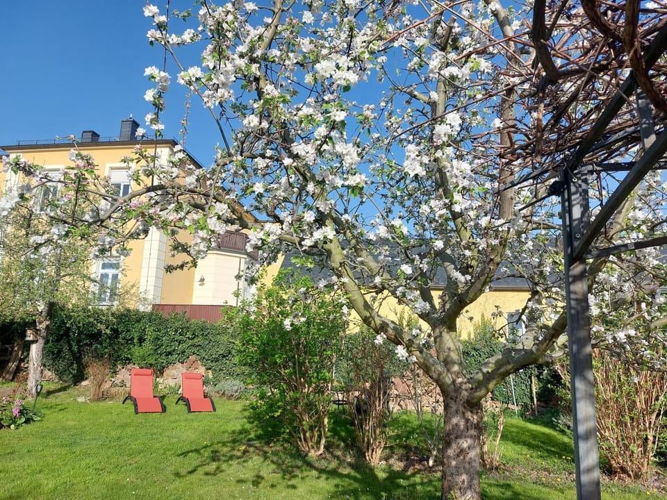 Spring, Garden, Garden view