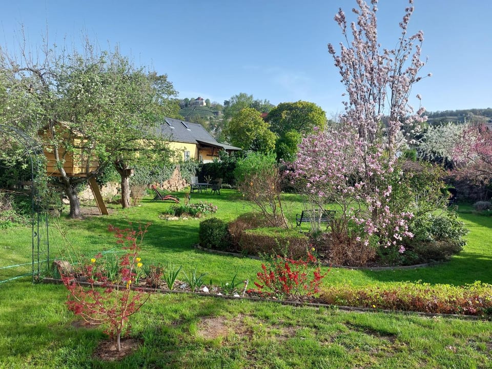 Spring, Garden, Garden view