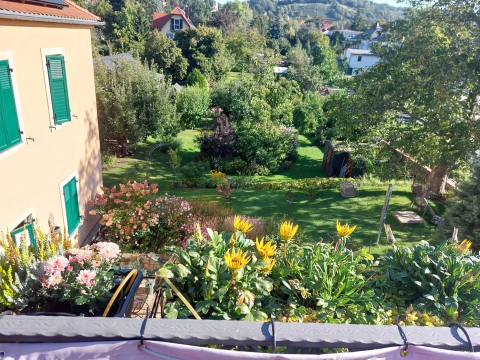 Garden view