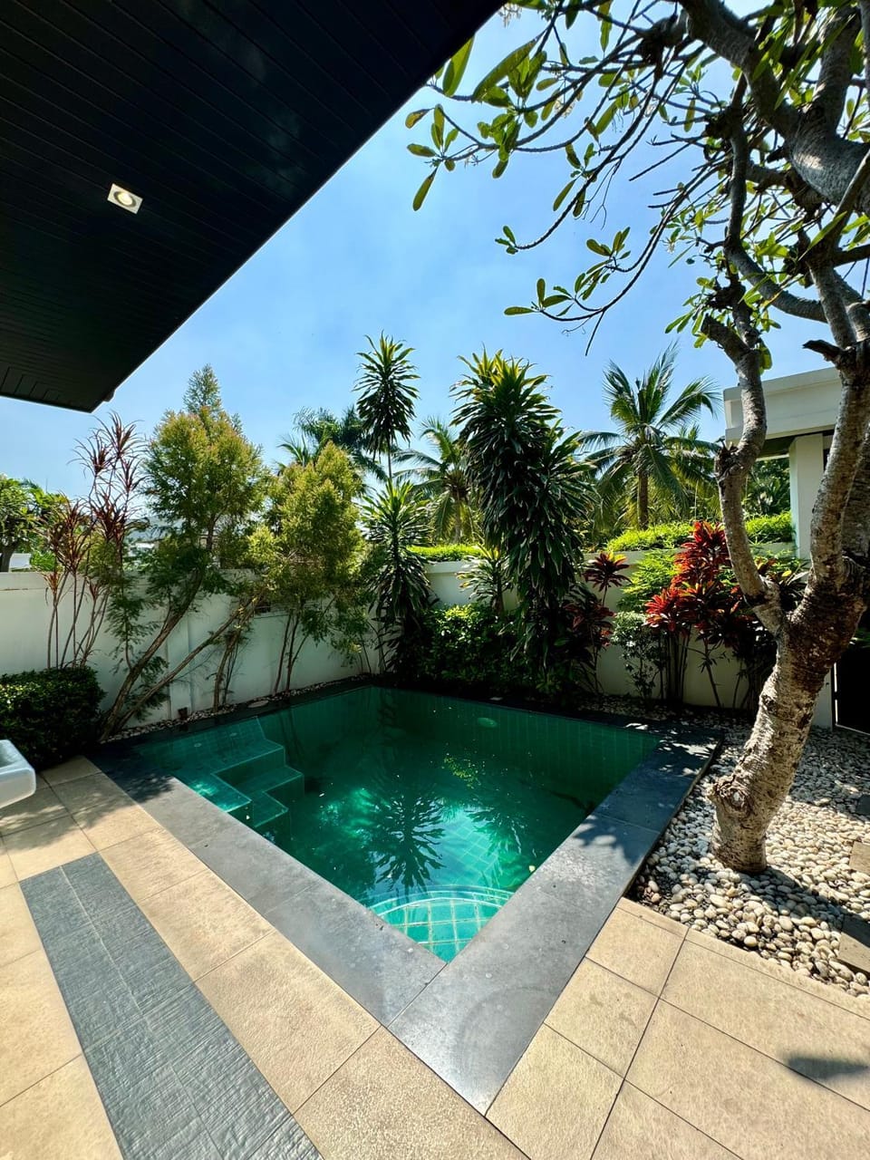 Swimming pool, Swimming pool