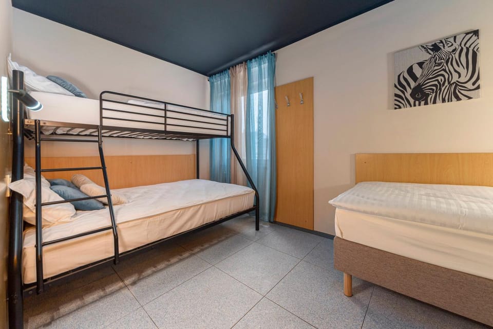 Bed, Photo of the whole room, Bedroom, bunk bed