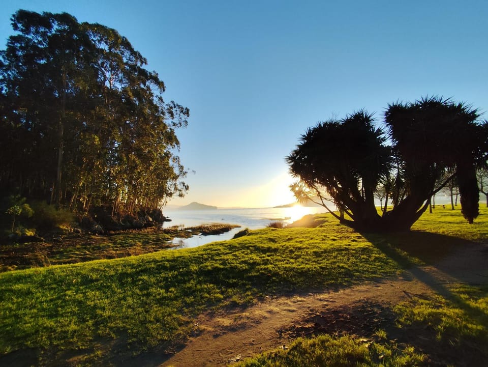 Natural landscape