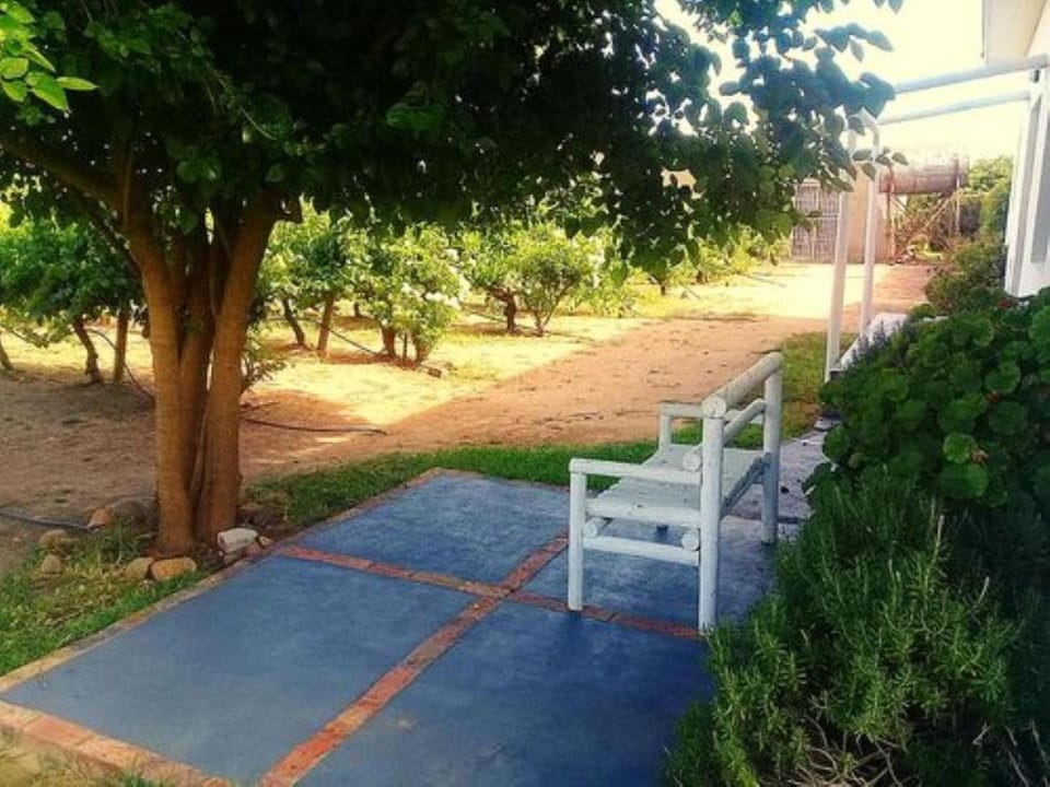 Balcony/Terrace, Balcony/Terrace