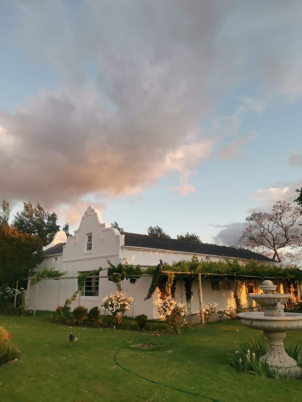 Property building, Garden, Garden view
