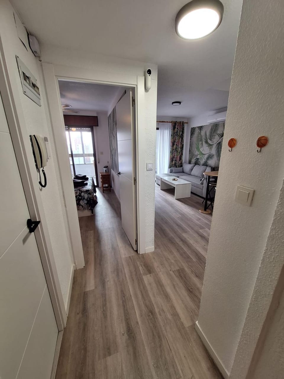 Photo of the whole room