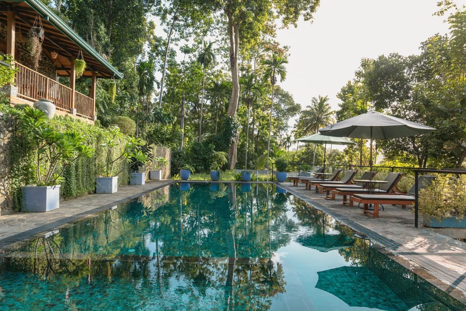 Patio, Natural landscape, Garden view, Swimming pool