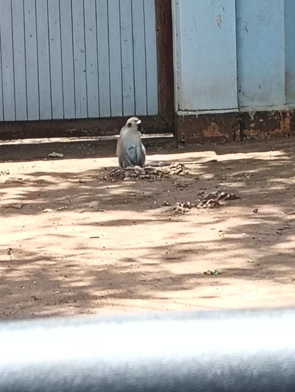 Double Heart Resort Hotel in Malindi
