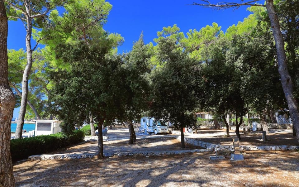 Day, Natural landscape, Garden