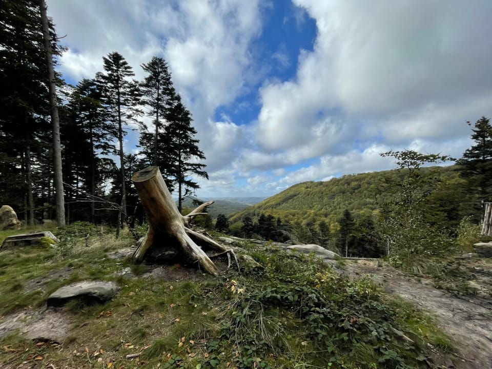 Natural landscape