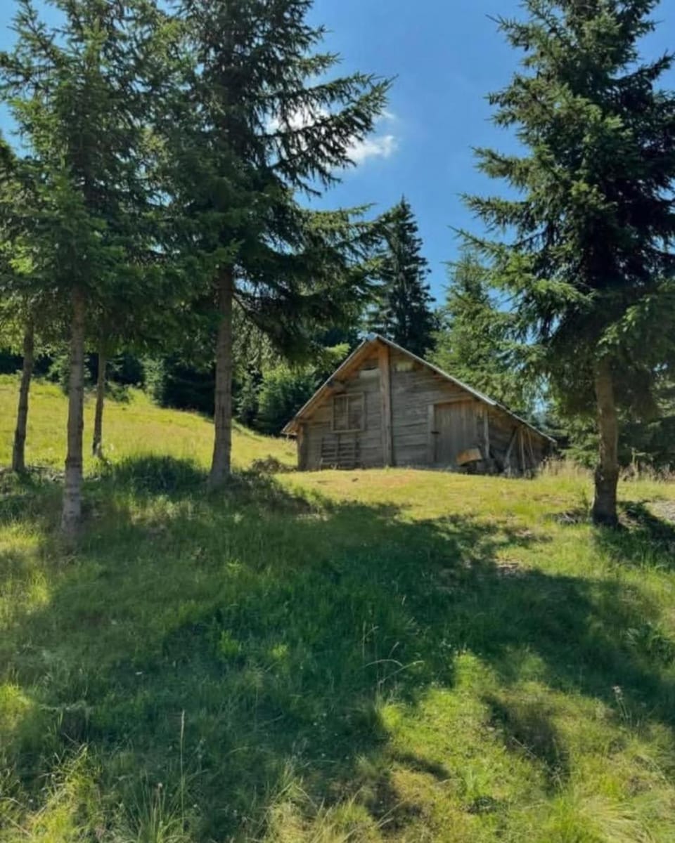 Natural landscape, Garden view