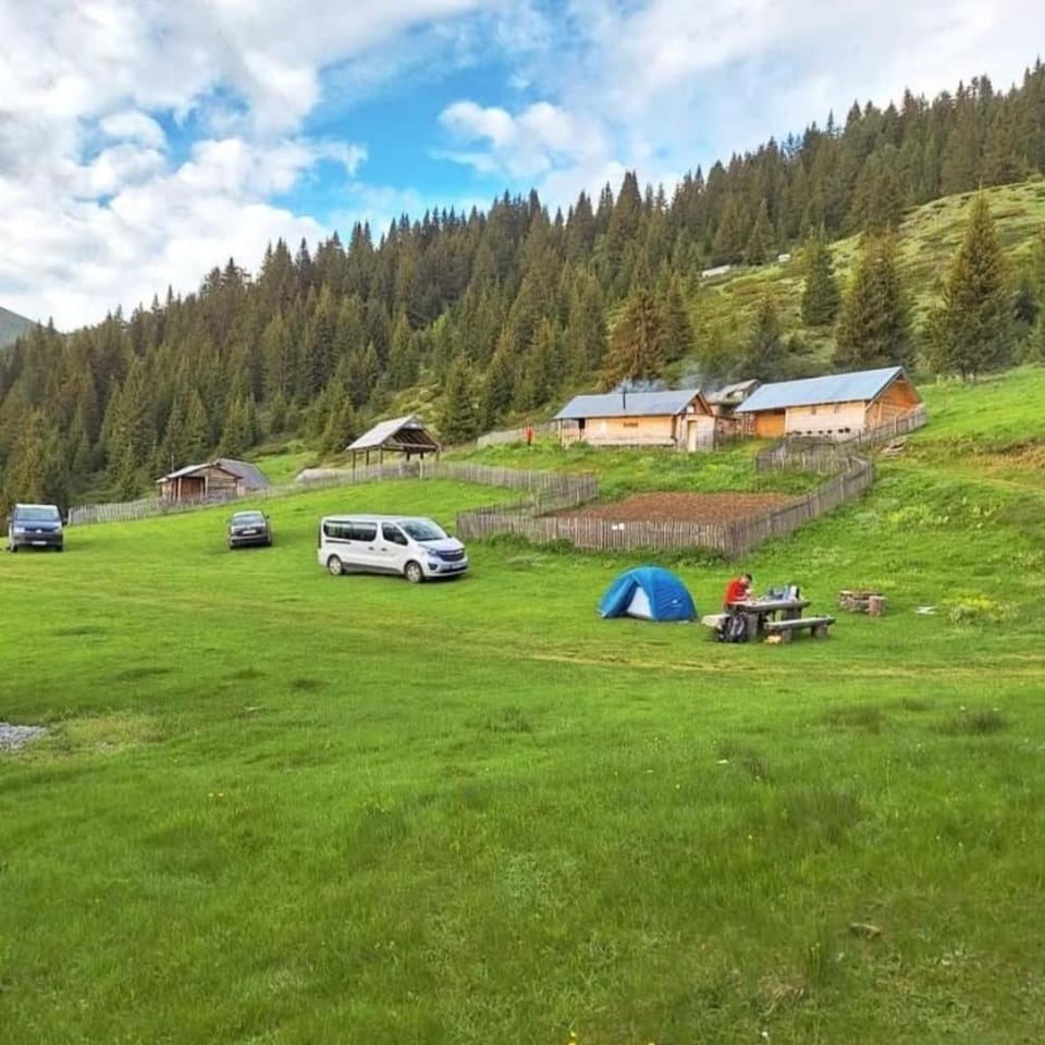 Spring, Natural landscape, Garden, Garden view, Mountain view, Parking