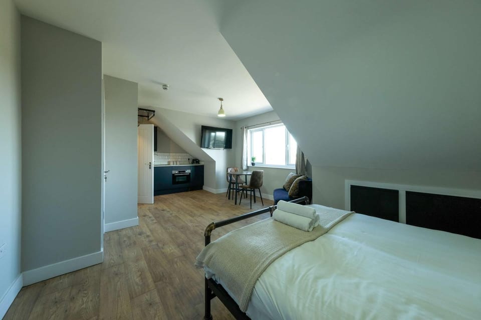 The Willow Apartments Apartment in Bristol