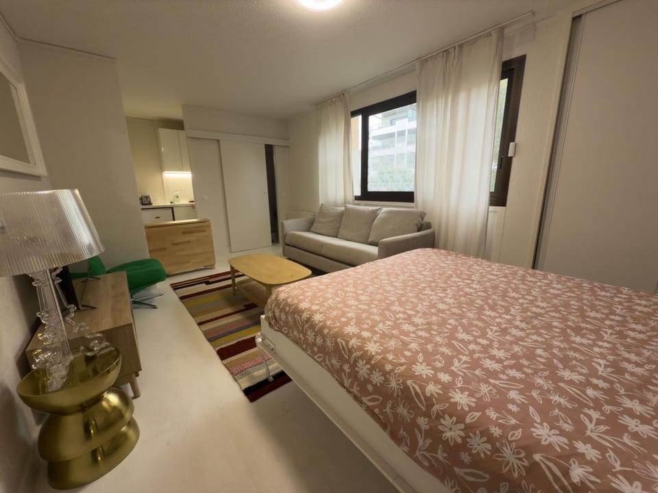 Studio équipé, idéal CERN Apartment in Haute-Savoie