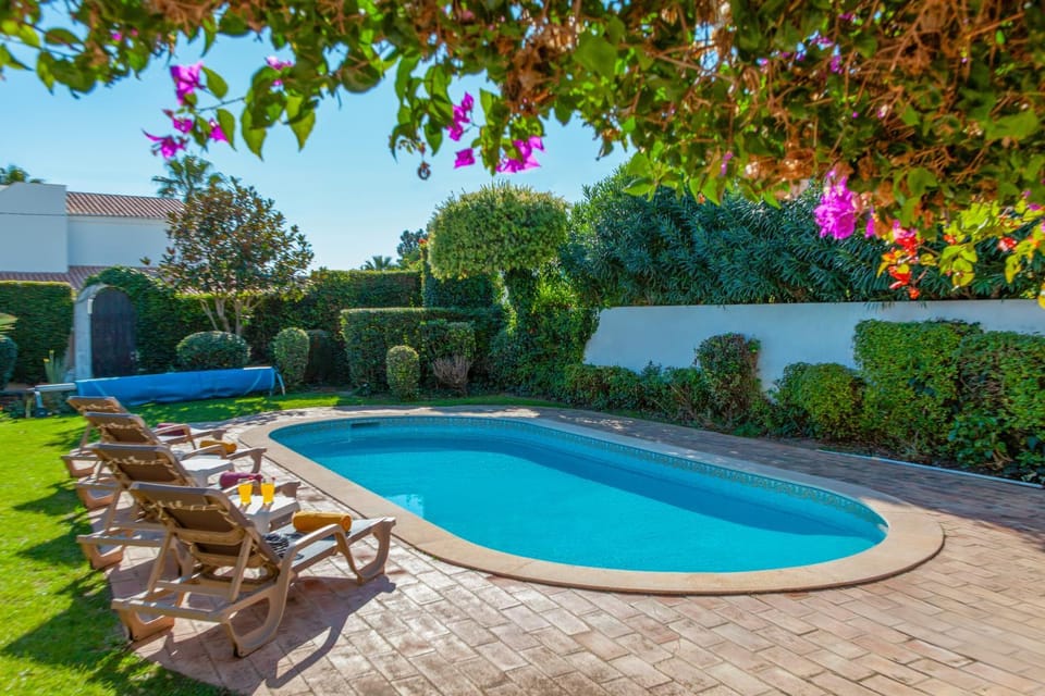 Day, Garden, Garden view, Pool view, Swimming pool, sunbed