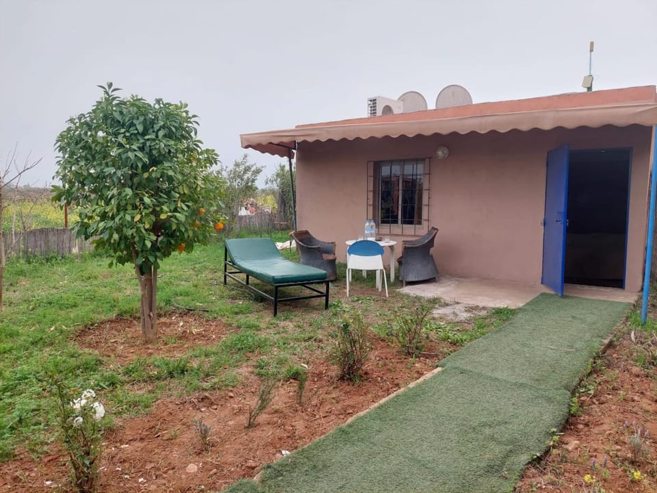 Patio, Garden